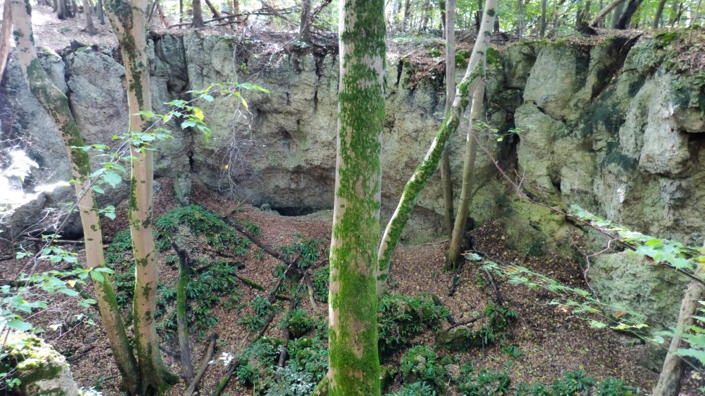 2014-10-03 14.06.16HDR