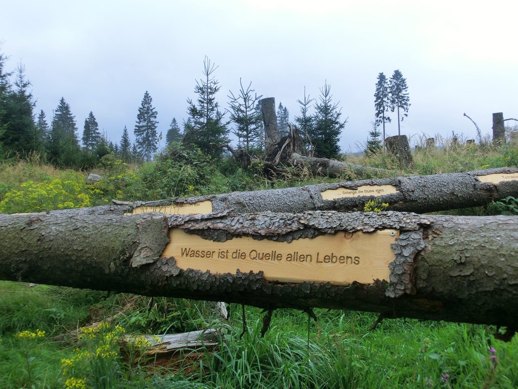 Naturmythenpfad Braunlage